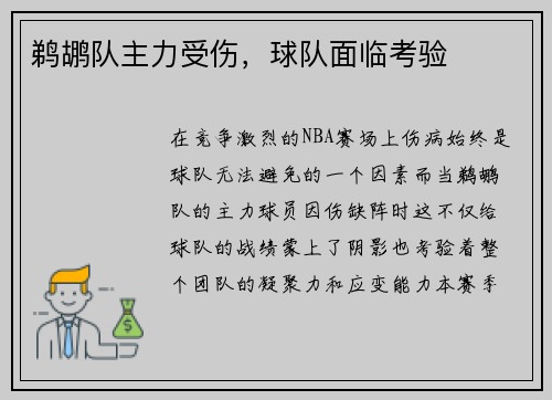 鹈鹕队主力受伤，球队面临考验