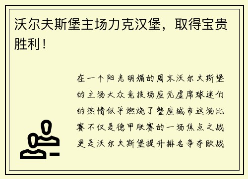 沃尔夫斯堡主场力克汉堡，取得宝贵胜利！