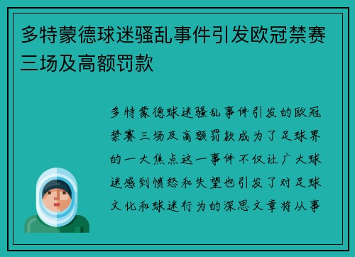 多特蒙德球迷骚乱事件引发欧冠禁赛三场及高额罚款