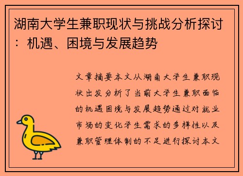 湖南大学生兼职现状与挑战分析探讨：机遇、困境与发展趋势