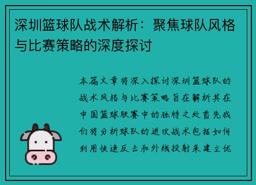 深圳篮球队战术解析：聚焦球队风格与比赛策略的深度探讨